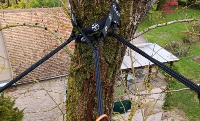 Haubanage d'arbre, Chalon-sur-Saône, ETEV 71 Élagage