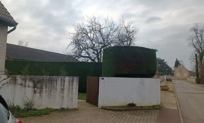 Taille de haies, Chalon-sur-Saône, ETEV 71 Élagage